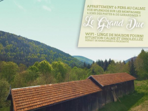 ⁂⁂ LE GRAND DUC Appartement CLEDICIHOME / Magnifique vue sur les montagnes / 4 KMs DE GERARDMER ! ⁂⁂